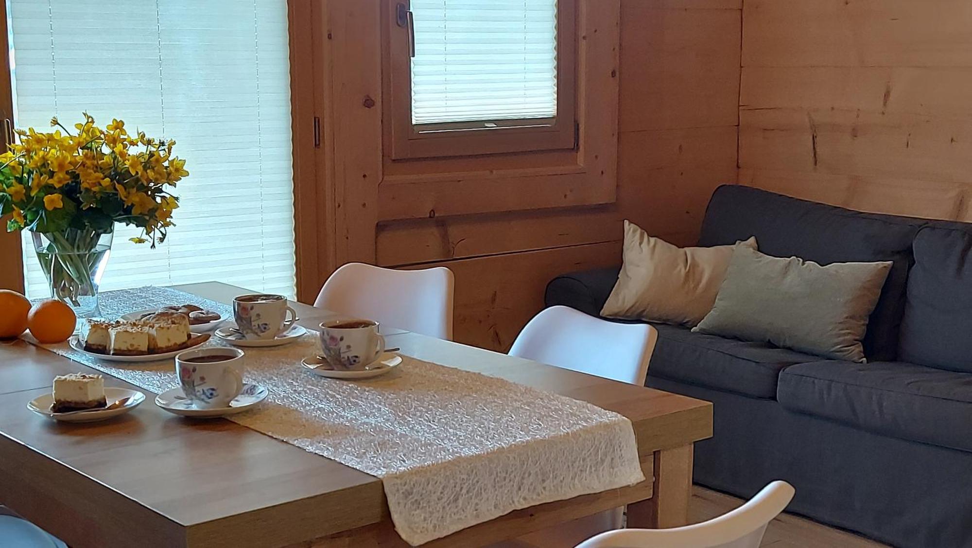 Eco Domki Podhalanka Witów Εξωτερικό φωτογραφία